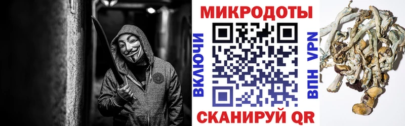 Псилоцибиновые грибы Cubensis  гидра ТОР  Узловая 