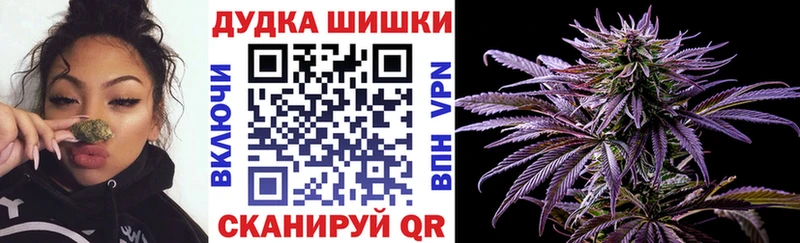Шишки марихуана Amnesia  Узловая 